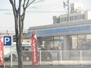 ローソン岡山平野店(コンビニ)まで123m プリムローズ・ドゥ・アンジュⅠ