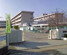 岡山市立芳泉小学校(小学校)まで663m メゾンドールβ　Ｃ棟