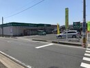 ドラッグセイムス石山店(ドラッグストア)まで654m ラポール