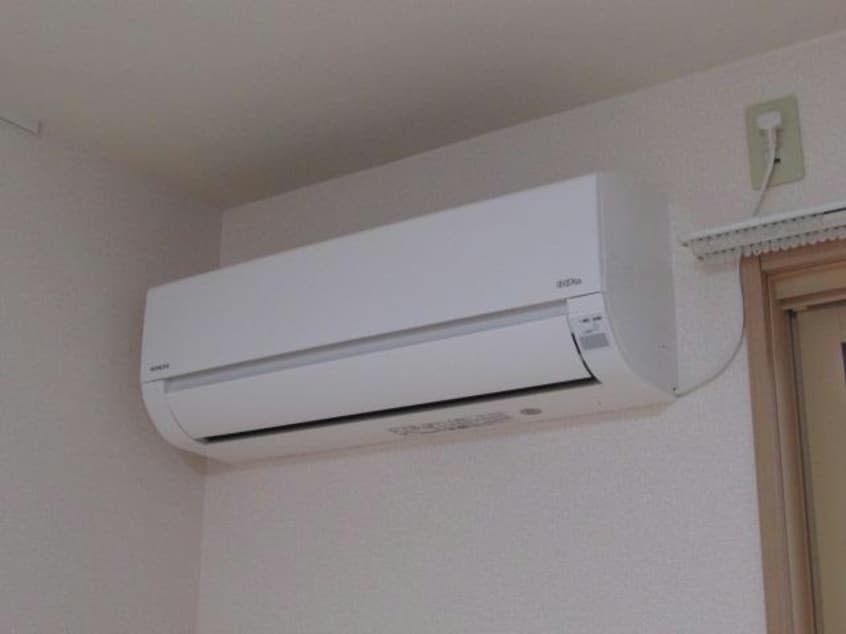  ボナール・カメリア