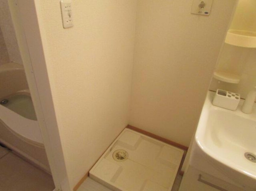  ボナール・カメリア