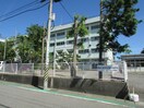 新潟市立丸山小学校(小学校)まで744m アパートメントハウス　キャンベル