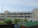 新潟市立亀田小学校(小学校)まで1076m ミルキータウン城所　Ⅱ