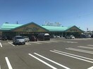リオン・ドール新津店(スーパー)まで1367m サニーフィールド