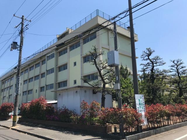 新潟市立石山中学校(中学校/中等教育学校)まで1543m パーク京王