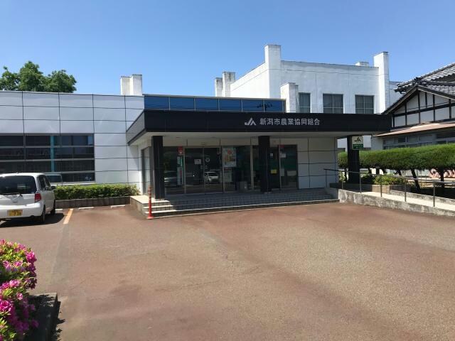 JA新潟市石山支店(銀行)まで1825m パーク京王