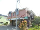 プリムローズ
