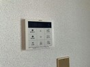  プリムローズ