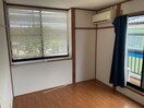  プリムローズ