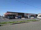 イオン亀田店(スーパー)まで365m プリムローズ