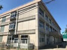新潟市立結小学校(小学校)まで1265m セレーノジュン