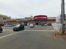 クスリのアオキ新津店(ドラッグストア)まで1403m ウィンクルム