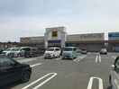 ドラッグ・トップス新津店(ドラッグストア)まで1861m クラールひまわり