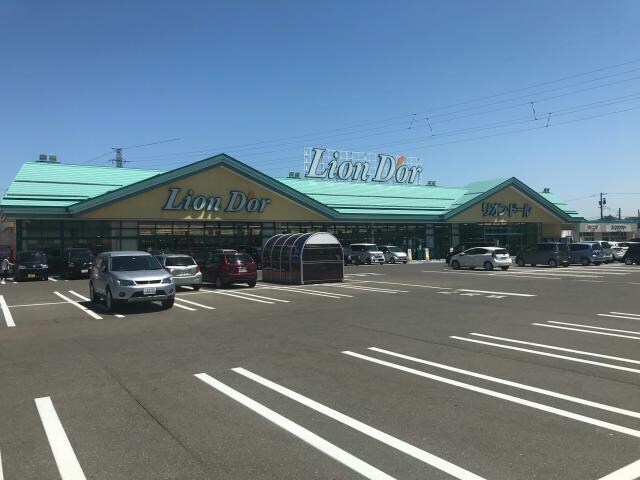 リオン・ドール新津店(スーパー)まで1053m ル・ボヌール