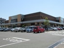 蔦屋書店新潟中央インター店(ビデオ/DVD)まで2646m ソレイユベルⅦ