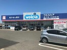 ウエルシア新潟さつき野店(ドラッグストア)まで2225m メゾン　レーヴ荻島