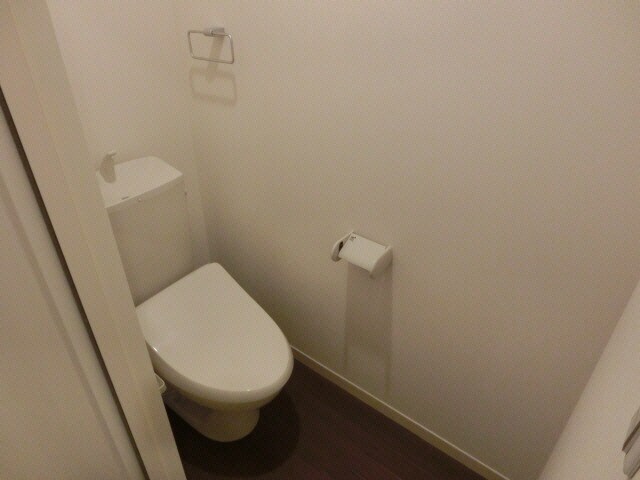  シャン・ドール