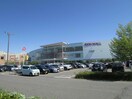 イオンモール新潟南郵便局(郵便局)まで1648m シャーﾒｿﾞﾝSUMON早通Ⅲ