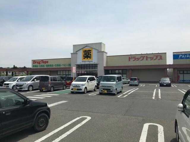 ドラッグ・トップス新津店(ドラッグストア)まで547m アルカディア中村