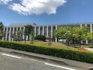 私立新潟薬科大学新津キャンパス(大学/短大/専門学校)まで1015m コーポA&B