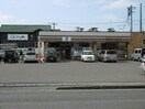 セブン-イレブン 新潟紫竹山店(コンビニ)まで1000m スペーラⅠ