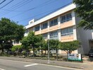 新潟市立中野山小学校(小学校)まで339m 粟山貸家