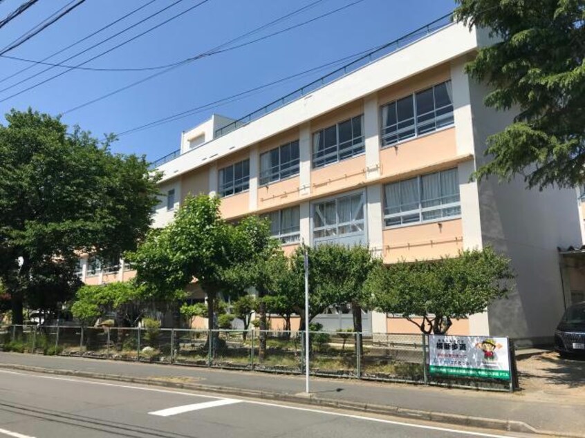 新潟市立中野山小学校(小学校)まで339m 粟山貸家