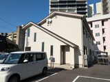 ヒマワリ