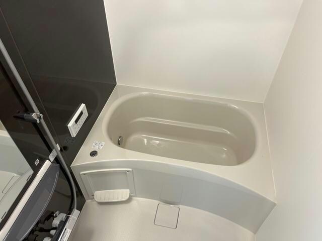  プラム　ソラーレ