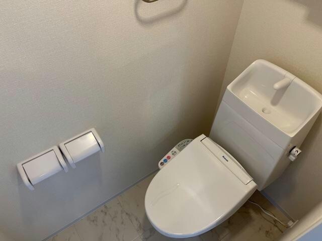  プラム　ソラーレ
