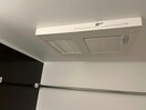  プラム　ソラーレ
