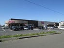 イオン亀田店(スーパー)まで1407m プラム　ソラーレ
