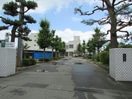 新潟市立亀田中学校(中学校/中等教育学校)まで1202m プラム　ソラーレ