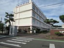新潟市立曽野木小学校(小学校)まで522m マルクパサージュ