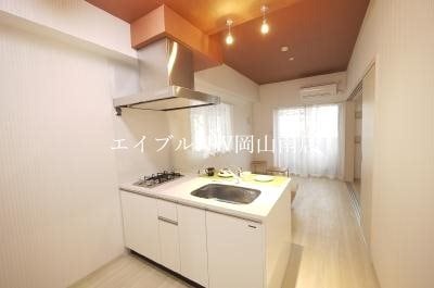  岡山市電清輝橋線<岡山電気軌道>/東中央町駅 徒歩7分 6階 築11年