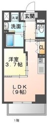 岡山市電清輝橋線<岡山電気軌道>/清輝橋駅 徒歩7分 8階 築5年 1LDKの間取り