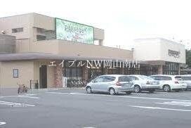パサージュ浜店(スーパー)まで668m 岡山市電東山本線<岡山電気軌道>/中納言駅 徒歩10分 1階 築22年