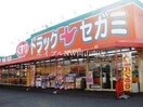 ドラッグセガミツシマモール店(ドラッグストア)まで215m 津山線/法界院駅 徒歩22分 1階 築42年