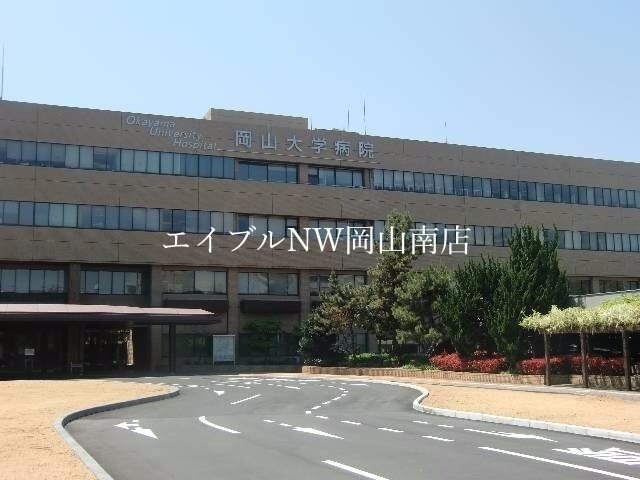 国立岡山大学医学部(大学/短大/専門学校)まで380m 岡山市電清輝橋線<岡山電気軌道>/清輝橋駅 徒歩6分 4階 築6年