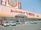 スーパードラッグひまわり中仙道店(ドラッグストア)まで256m 山陽本線（中国）/北長瀬駅 徒歩15分 2階 築22年