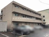 アンジュ