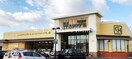 ハピッシュ下中野店(スーパー)まで114m 宇野線<宇野みなと線>/備前西市駅 徒歩16分 2階 築31年