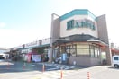 ハピーズ泉田店(スーパー)まで1234m 宇野線<宇野みなと線>/備前西市駅 徒歩42分 2階 築29年