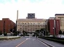 岡山県精神科医療センター(病院)まで421m 宇野線<宇野みなと線>/大元駅 徒歩8分 4階 築3年