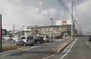 ハローズ岡南店(スーパー)まで202m 宇野線<宇野みなと線>/備前西市駅 徒歩66分 2階 築34年