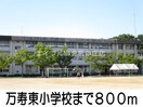 万寿東小学校(小学校)まで800m ニューシティ大島