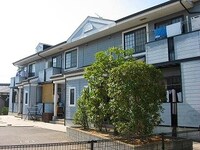 グレーシアミルシマ