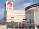 山陽マルナカマスカット店(スーパー)まで331m アルファステイツ中庄駅前Ⅲ