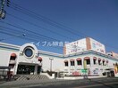 わたなべ生鮮館庭瀬店(スーパー)まで799m サンコーポ城ノ内