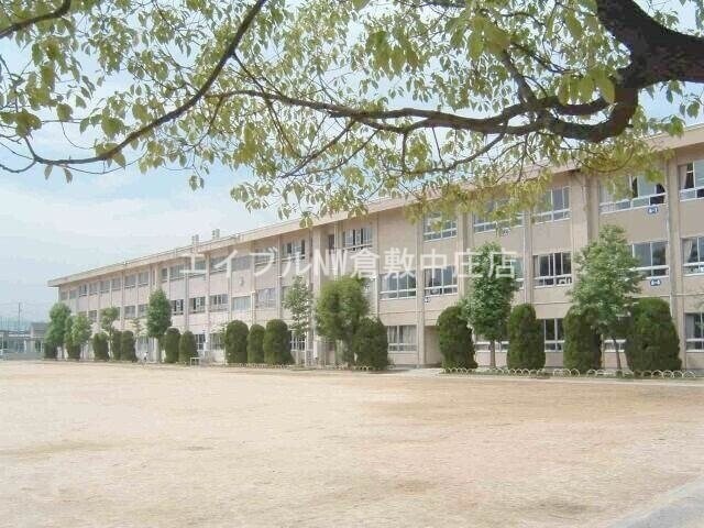 倉敷市立中島小学校(小学校)まで1290m サンライフ中島ⅡC
